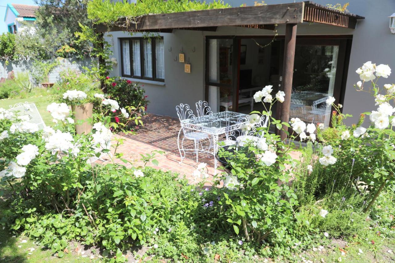 Appartement Menlo At C à Plettenberg Bay Extérieur photo